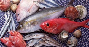 avatar1771905515277 17719055157981694819019