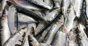 avatar1771916350275 17719163505661306061352