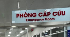 avatar1772003308913 1772003309365749226199