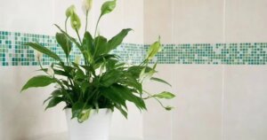 avatar1772073949995 17720739506417764172