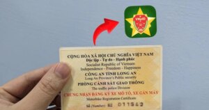 avatar1772090818817 177209081945223159038 0 0 817 1559 crop 17720908749181368472997