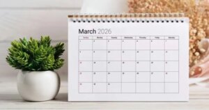 avatar1772094196871 17720941971721874699039