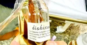 avatar1772103304100 1772103308319548911977.webp