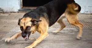 avatar1772170255436 1772170255919217570750