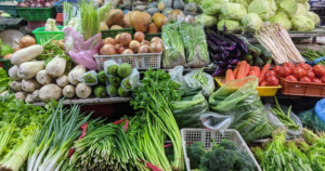 avatar1772265332762 17722653330681539047739