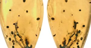 avatar1772324096199 17723240968451601024854