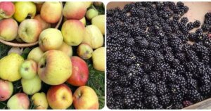 avatar1772348913968 177234891448422009798