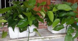 avatar1772434692419 17724346937811252364685