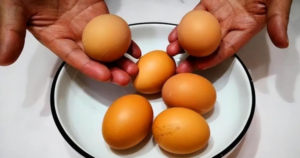 avatar1772440211727 1772440212725267457334