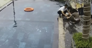 avatar1772452265172 1772452265801436970812