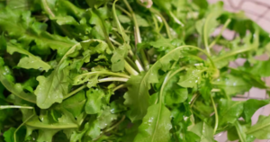 avatar1772453709996 17724537105631573250494