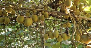 avatar1772454132624 1772454133095566984021