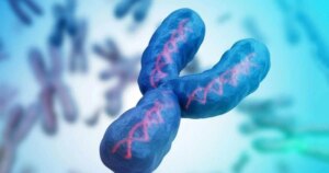 avatar1772495610411 1772495610808618573423