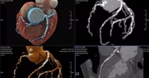 avatar1772534796897 17725347973282125022615.webp