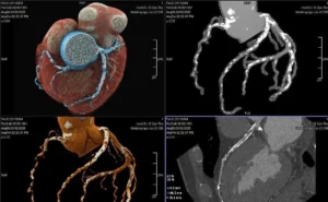 avatar1772534796897 17725347973282125022615.webp