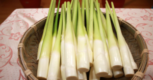 avatar1772543960624 17725439613531738621173