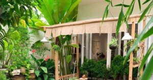 avatar1772617964592 17726179654113487477 0 83 315 589 crop 177263479115887312084