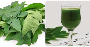 avatar1772619634196 17726196351761211356635