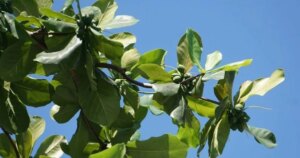 avatar1772758656351 17727586567491333210510