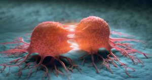 avatar1772769875044 1772769877068897539545 0 0 575 1098 crop 1772769959579767919694