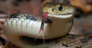 avatar1772783307245 1772783307763325392108 17 0 855 1600 crop 1772783421950624699385