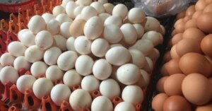 avatar1772797503412 17727975042141141606982