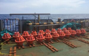 Avatar1772980036467 1772980036832581783705 44 0 710 1065 Crop 177298006450333396203