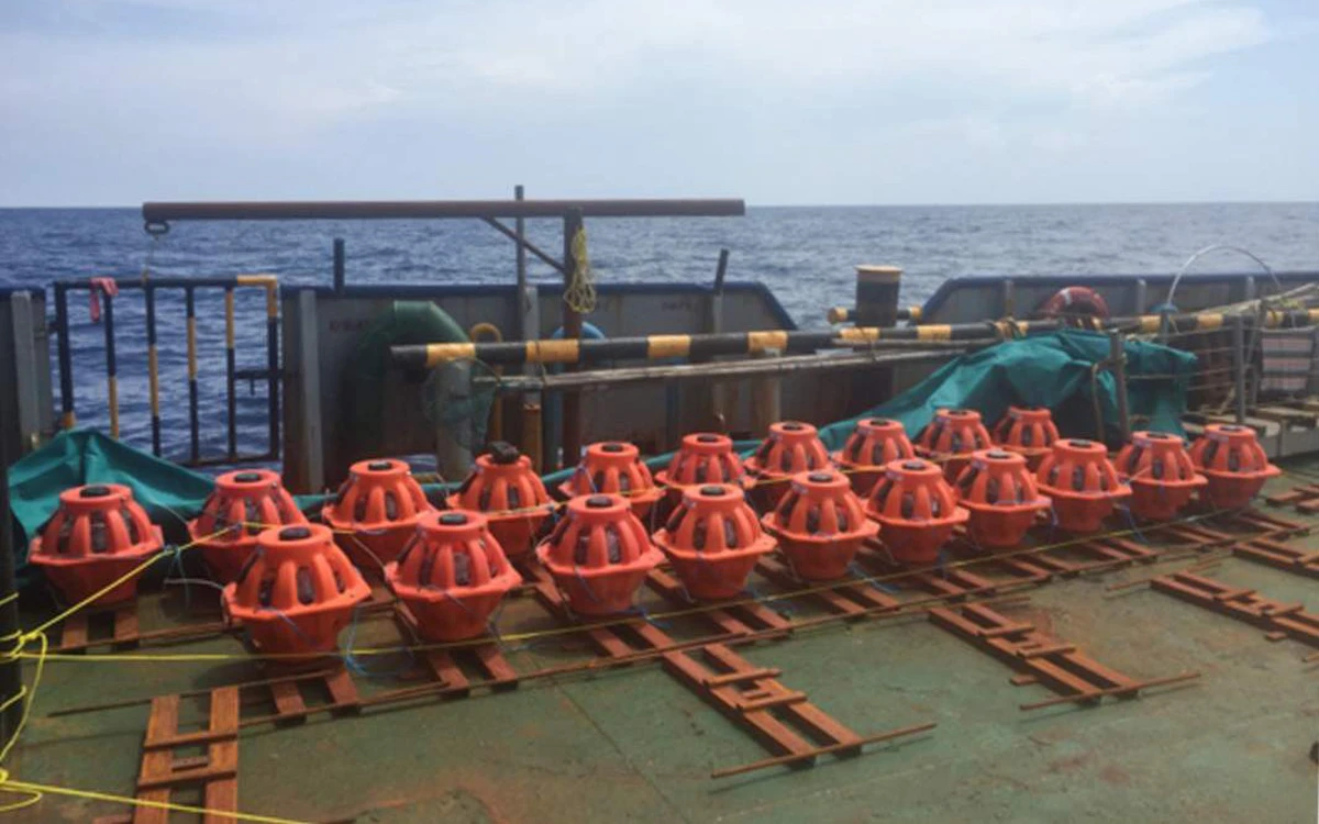 Avatar1772980036467 1772980036832581783705 44 0 710 1065 Crop 177298006450333396203