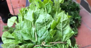 Avatar1773012388295 1773012388739808674535