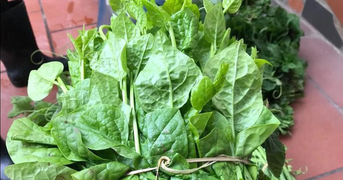 Avatar1773012388295 1773012388739808674535