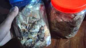 Avatar1773051421513 1773051422699501928156.Webp