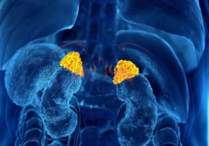 Avatar1773051493152 17730514937551296827626.Webp