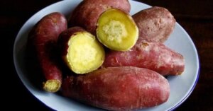 Avatar1773063976562 1773063977293139405546