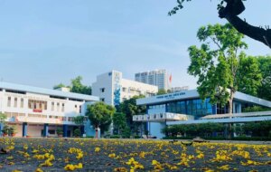 Avatar1773066877189 1773066877880587362535