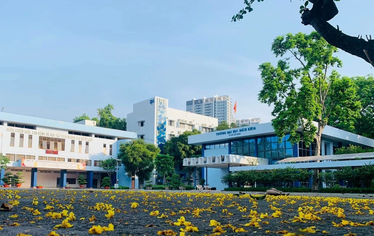 Avatar1773066877189 1773066877880587362535