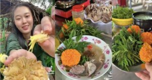 Avatar1773116387127 1773116388461172623578