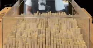 Avatar1773126405668 17731264062901020977011 0 0 314 600 Crop 1773126448866283498728