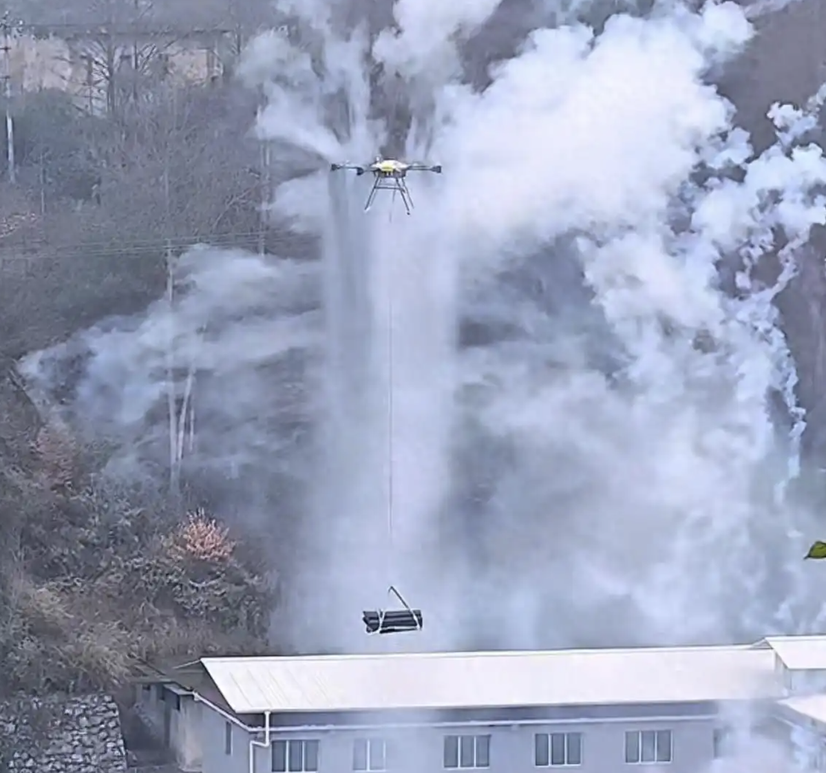 Avatar1773156464299 1773156464618595555351