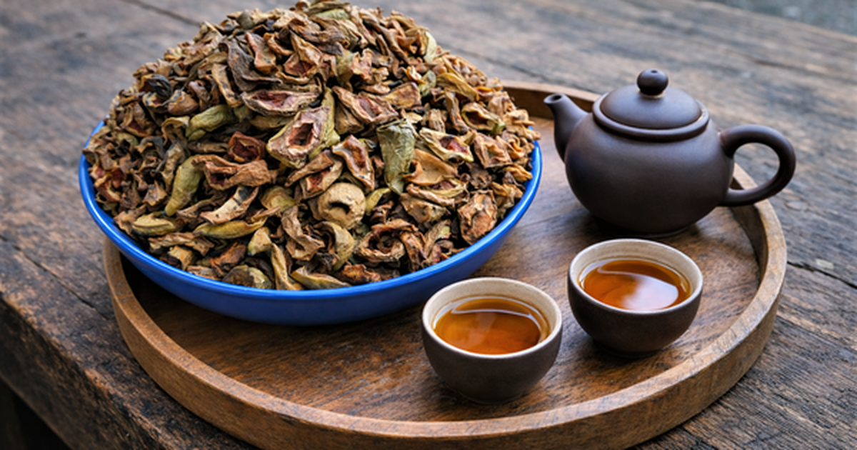 Avatar1773185594488 17731855947991290265965