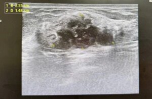 Avatar1773198097212 1773198097669138545521