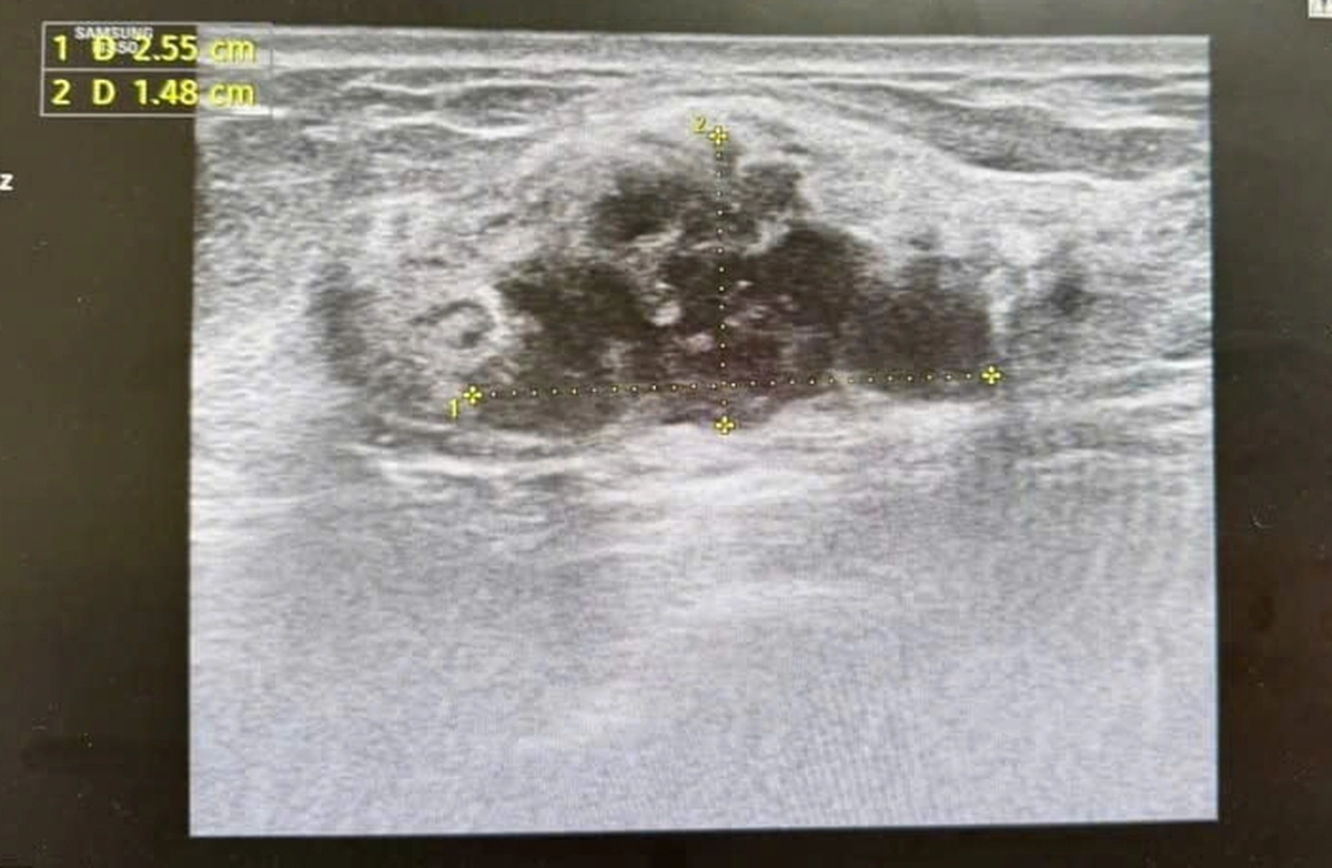 Avatar1773198097212 1773198097669138545521