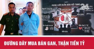 Avatar1773201077754 17732010781721963117652 0 0 359 686 Crop 1773201117621285019148