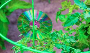 Avatar1773215879703 1773215880199478913792