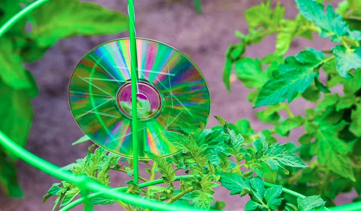 Avatar1773215879703 1773215880199478913792