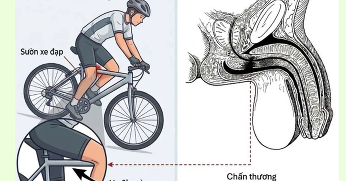 Avatar1773225520801 1773225521812172246980