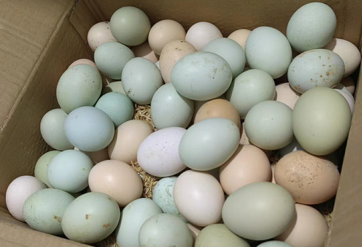 avatar1773300131011 177330013255654691526