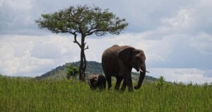 Avatar1773304362312 17733043625711194258907