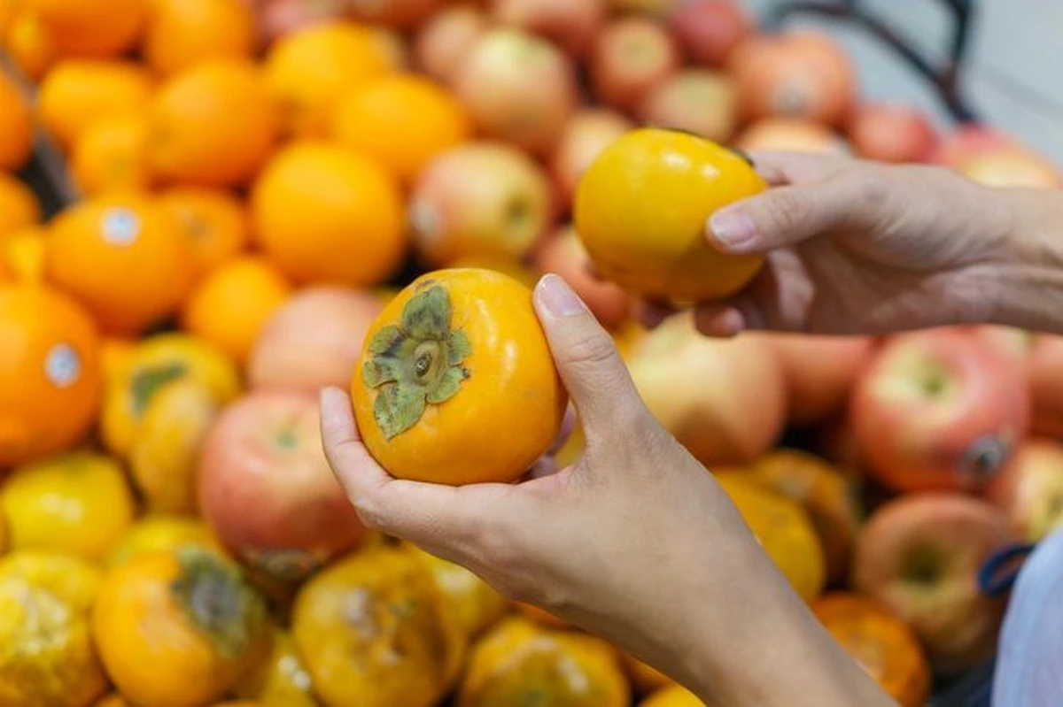 Avatar1773358490073 17733584909701200600829