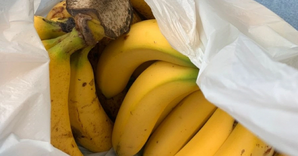 Avatar1773359434512 17733594348631935007615