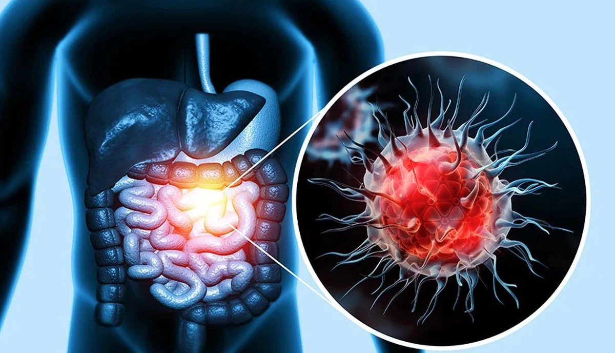 avatar1773388830417 1773388830757453597193